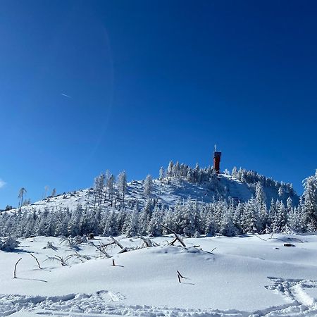 Bergtraum Braunlage Im Harz, 17 Gaeste, Sauna, Pool Villa Ngoại thất bức ảnh