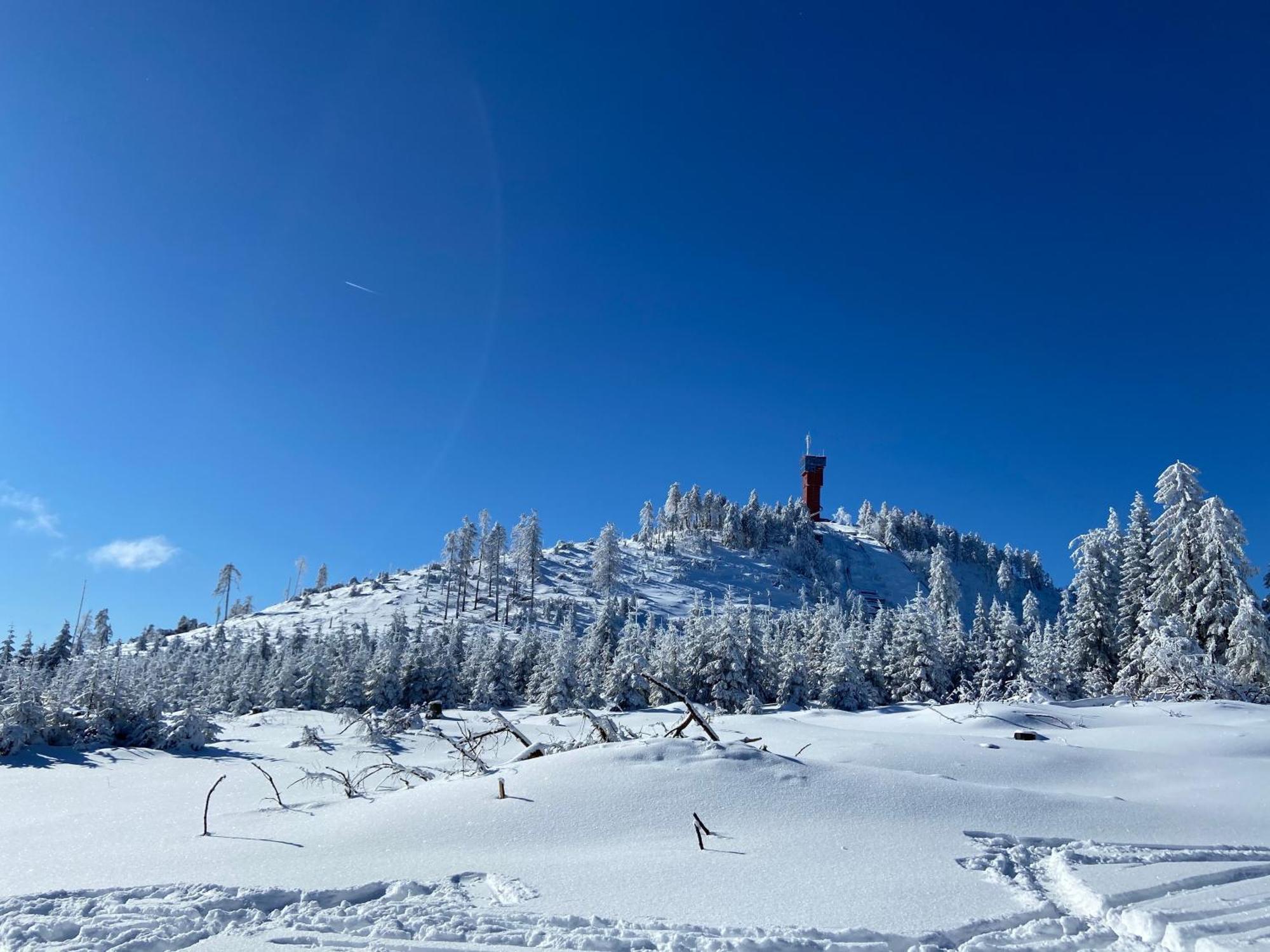 Bergtraum Braunlage Im Harz, 17 Gaeste, Sauna, Pool Villa Ngoại thất bức ảnh