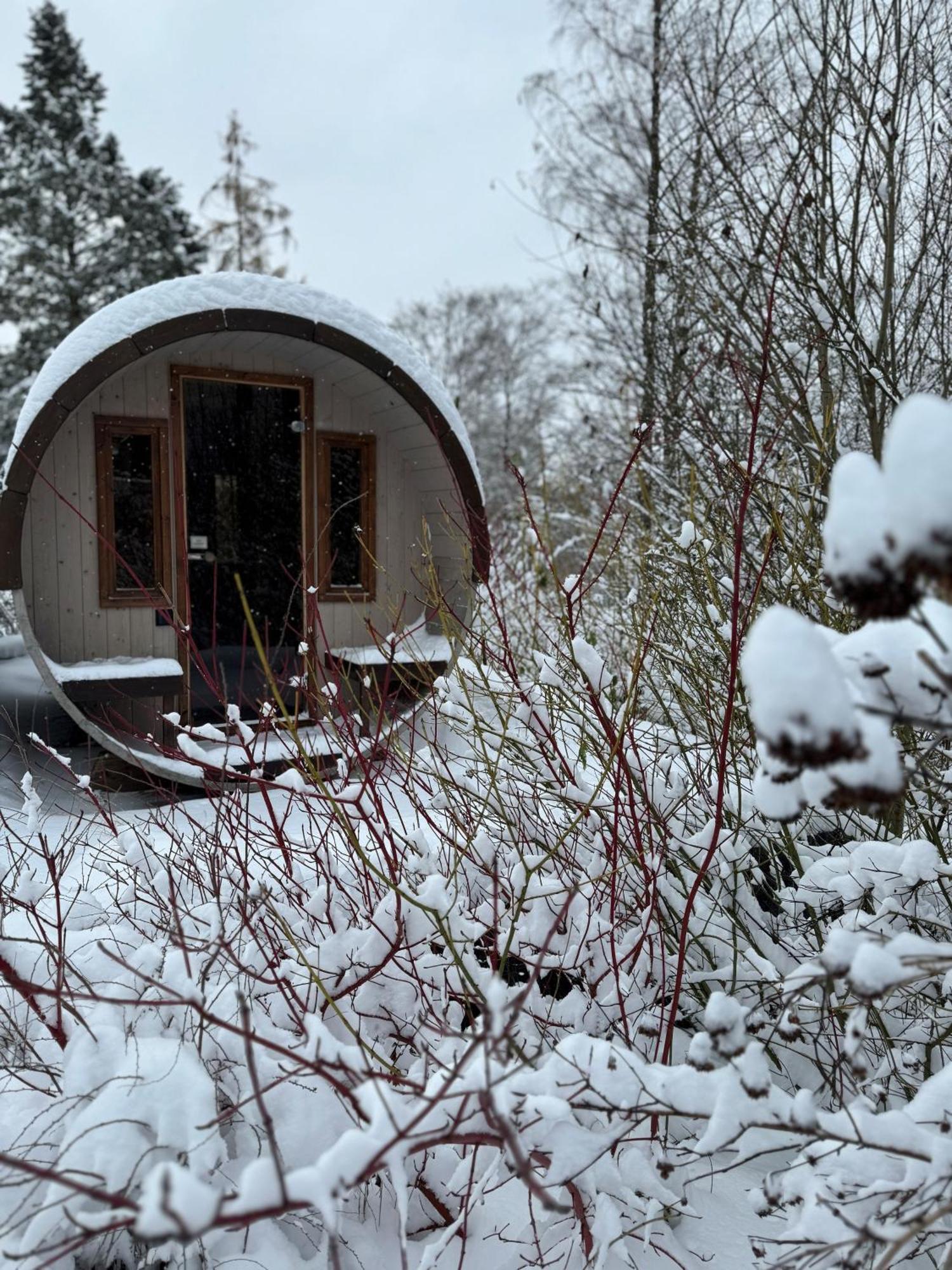 Bergtraum Braunlage Im Harz, 17 Gaeste, Sauna, Pool Villa Ngoại thất bức ảnh